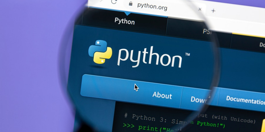 3900 din za online kurs Python za decu!